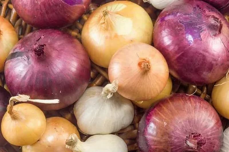 تصویر 2 از پیاز مصری چند طبقه با لایه های متراکم و متعدد برای آشپزی با کیفیت